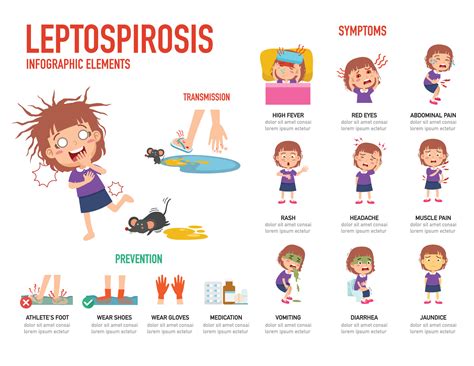 leptospirose sintomas